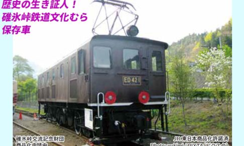 MICROACE マイクロエース (N) A3401 ED42-1 碓氷峠鉄道文化むら