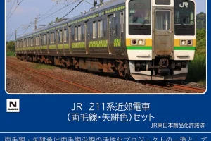 TOMIX トミックス (N) 97237 JR 211 3000系近郊電車(両毛線・矢絣色)セット