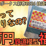 【鉄道模型 2万円 福袋 2026】当たり?はずれ?結論が割れそうな Nゲージ 福袋を開封!